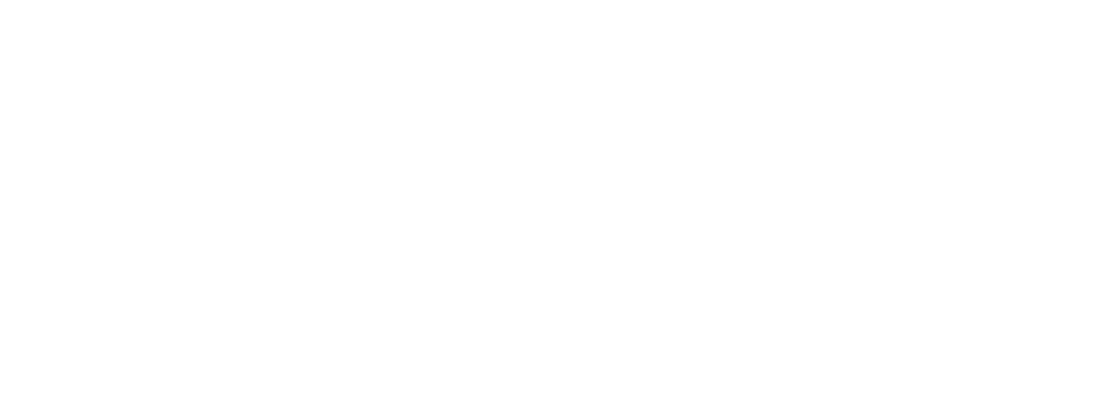Schwake Stone Limited LLC Logo