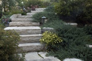 White-Stone-Steps-Backyard