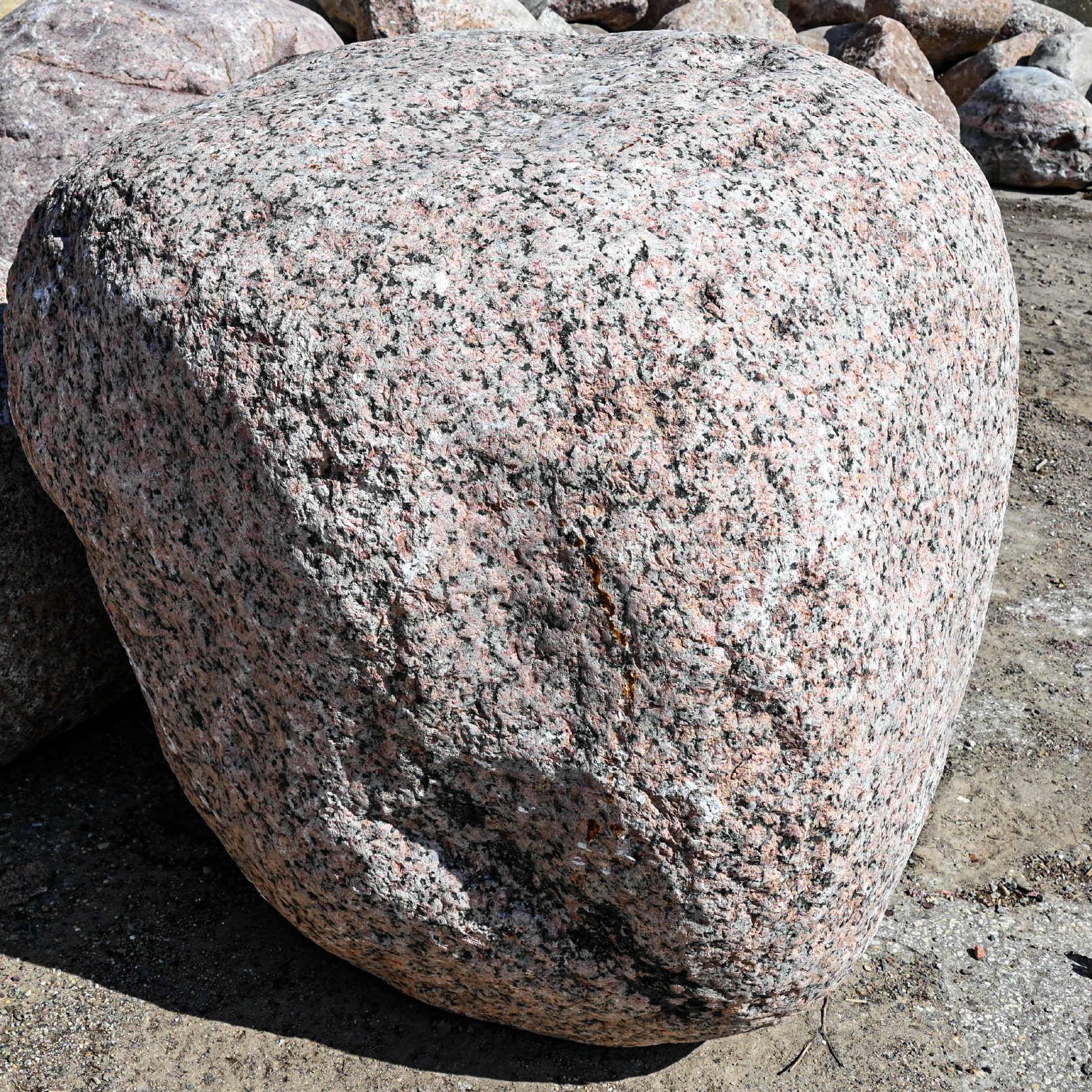 Wisconsin Granite Boulder 36in to 48in